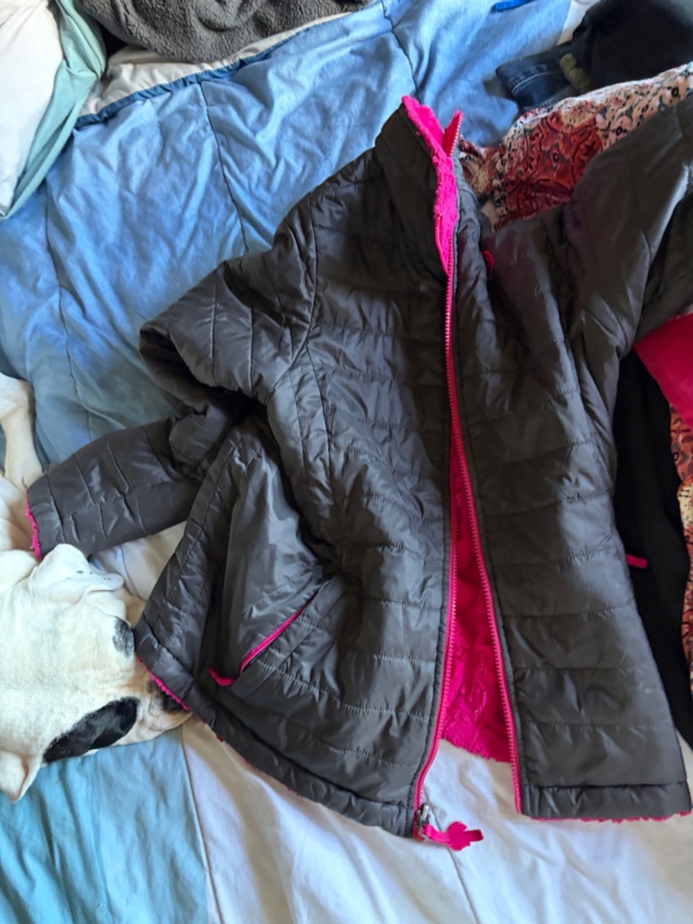The North Face Gray Puffer Jacket with Pink Lining - Kids